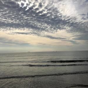 Meet your Posher, Dustin